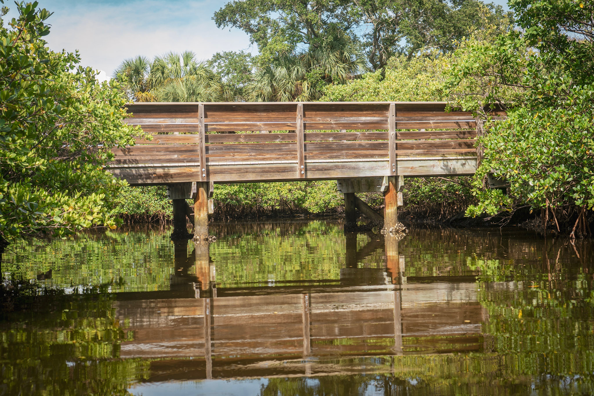 Boardwalk bridge over the bayou