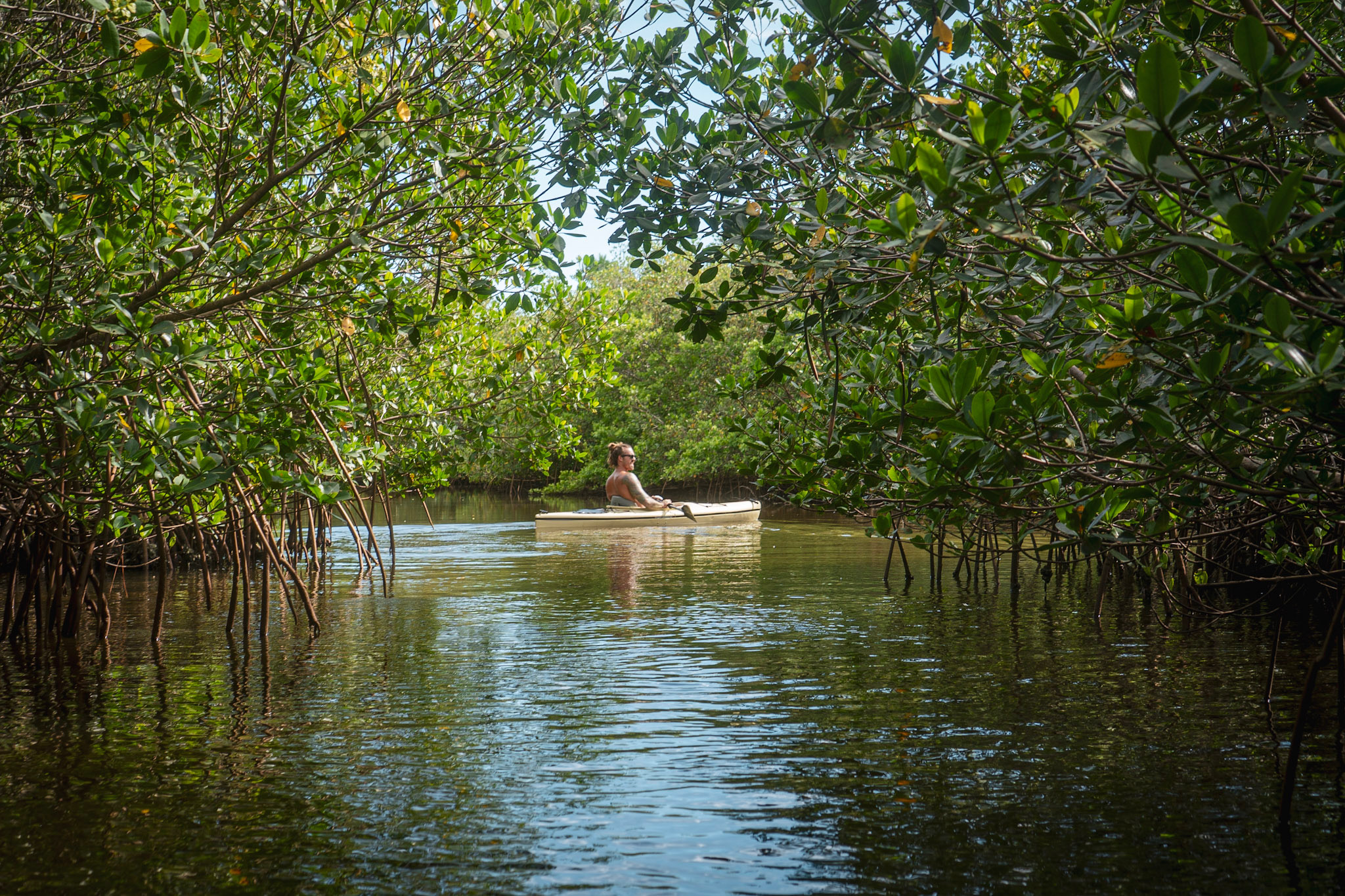 Paddling a mangrove tunnel near Gulfport